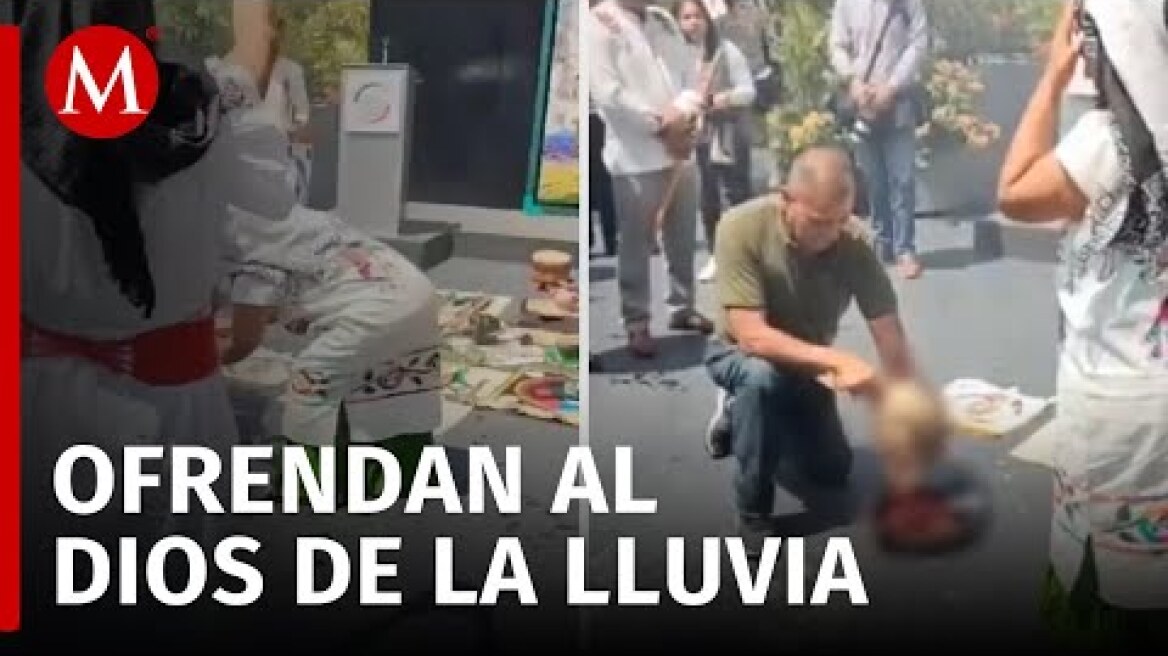 SACRIFICAN a una gallina en el Senado como ofrenda a Tláloc por el Día de la Lluvia