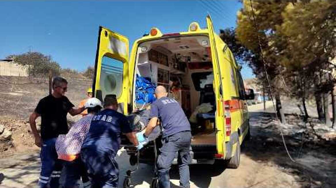 Καταπλακώθηκε από κορμό δέντρου εργαζόμενος ΔΕΔΔΗΕ στα Φίχτια Αργολίδας