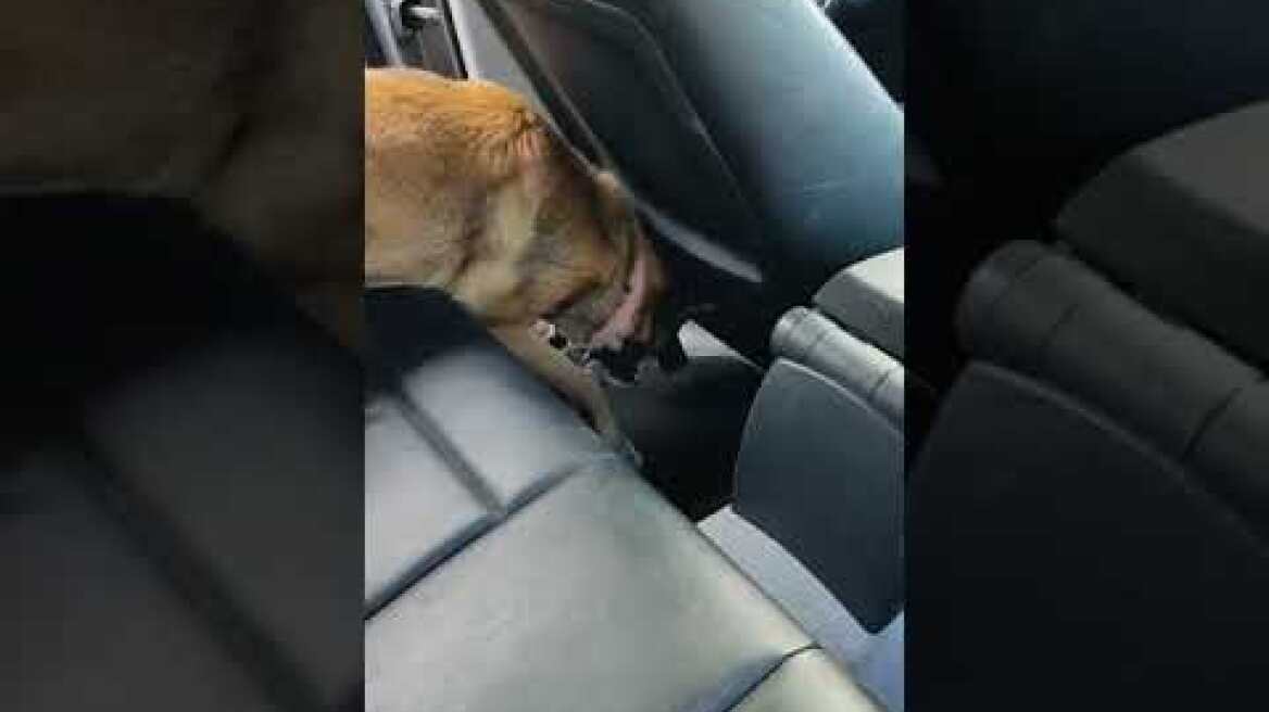 Σε σταθμευμένο αυτοκίνητο στον Ασπρόπυργο βρέθηκαν και κατασχέθηκαν -674- γραμμ. κοκαΐνης