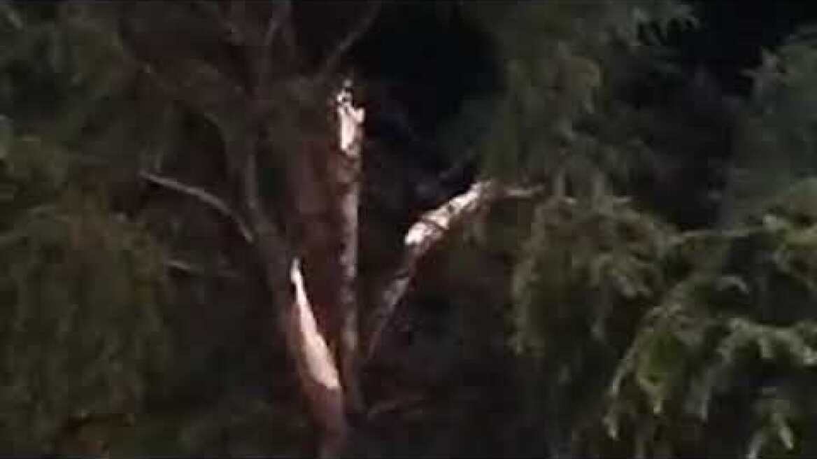 2019 07 10 Αλεξάνδρεια Ημαθίας - καταστροφές από καταιγίδα βίντεο από το radio AVENA