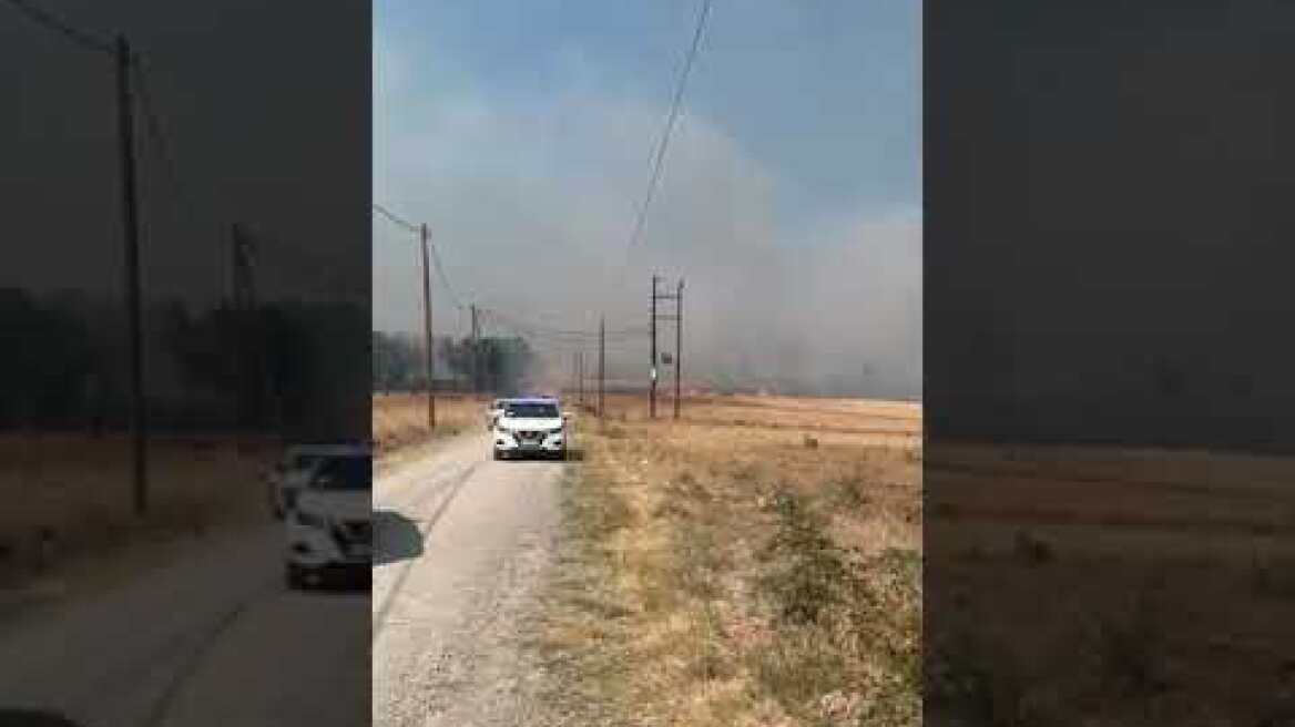 Πυρκαγιά στην Αλεξανδρούπολη 1