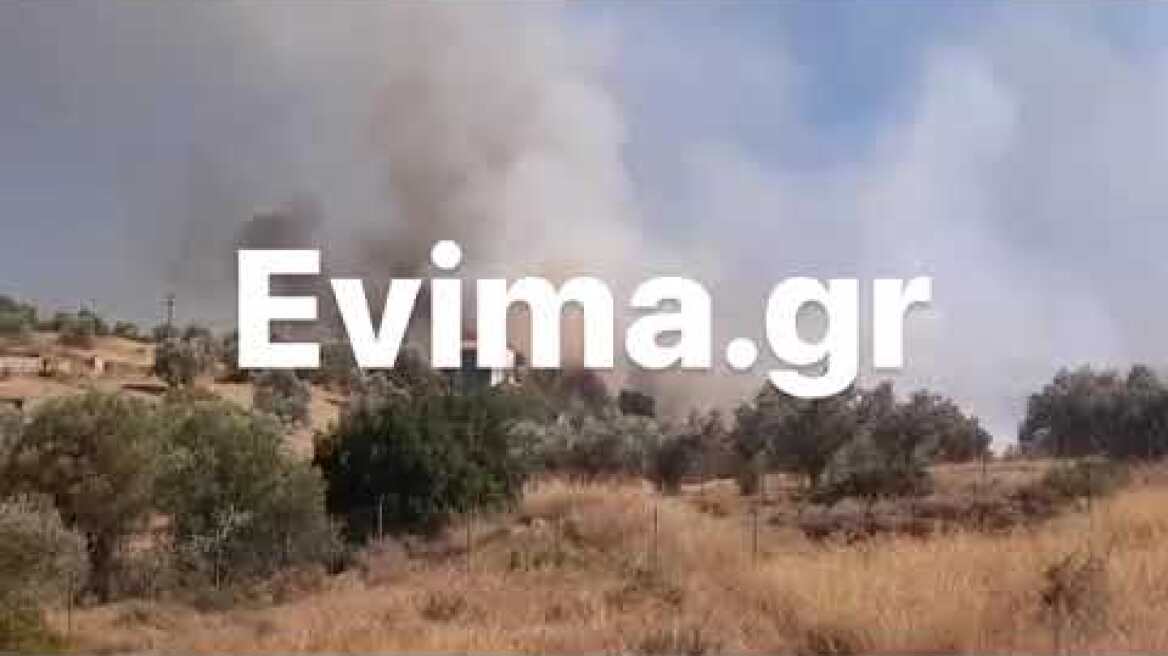 Μεγάλη φωτιά στην Ερέτρια