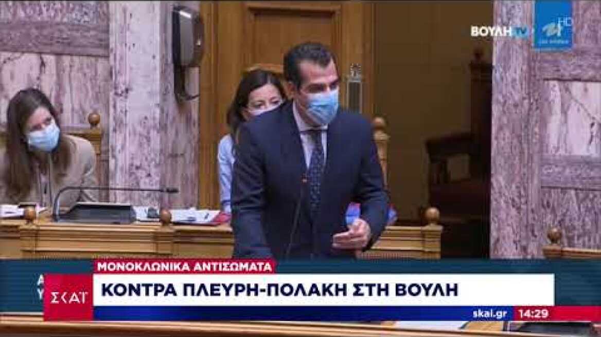Κόντρα Πλεύρη-Πολάκη στη βουλή