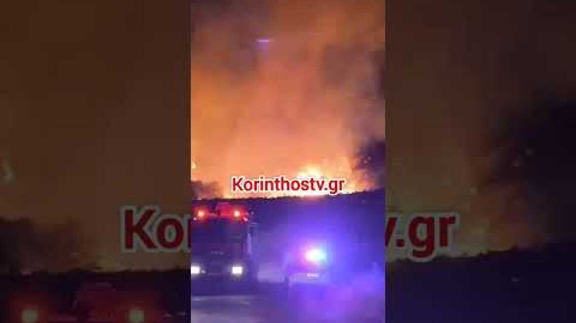 φωτιά στο Ελληνοχώρι Κορινθίας