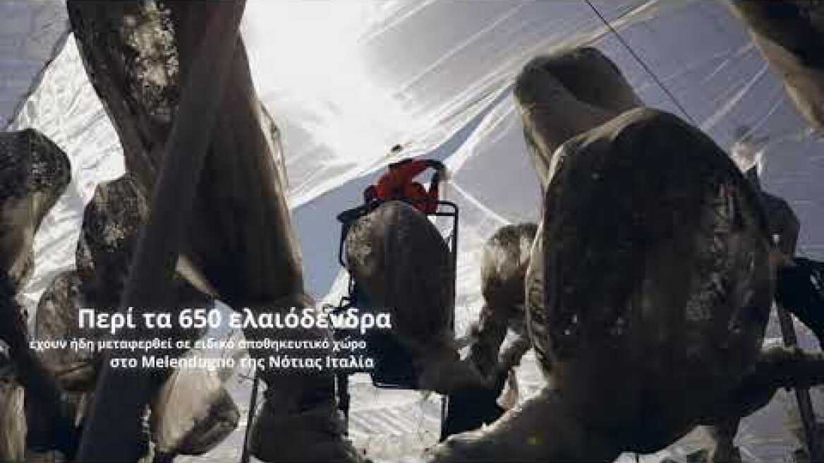 Εξέλιξη των έργων για την κατασκευή του Διαδριατικού Αγωγού Φυσικού Αερίου (ΤΑΡ)