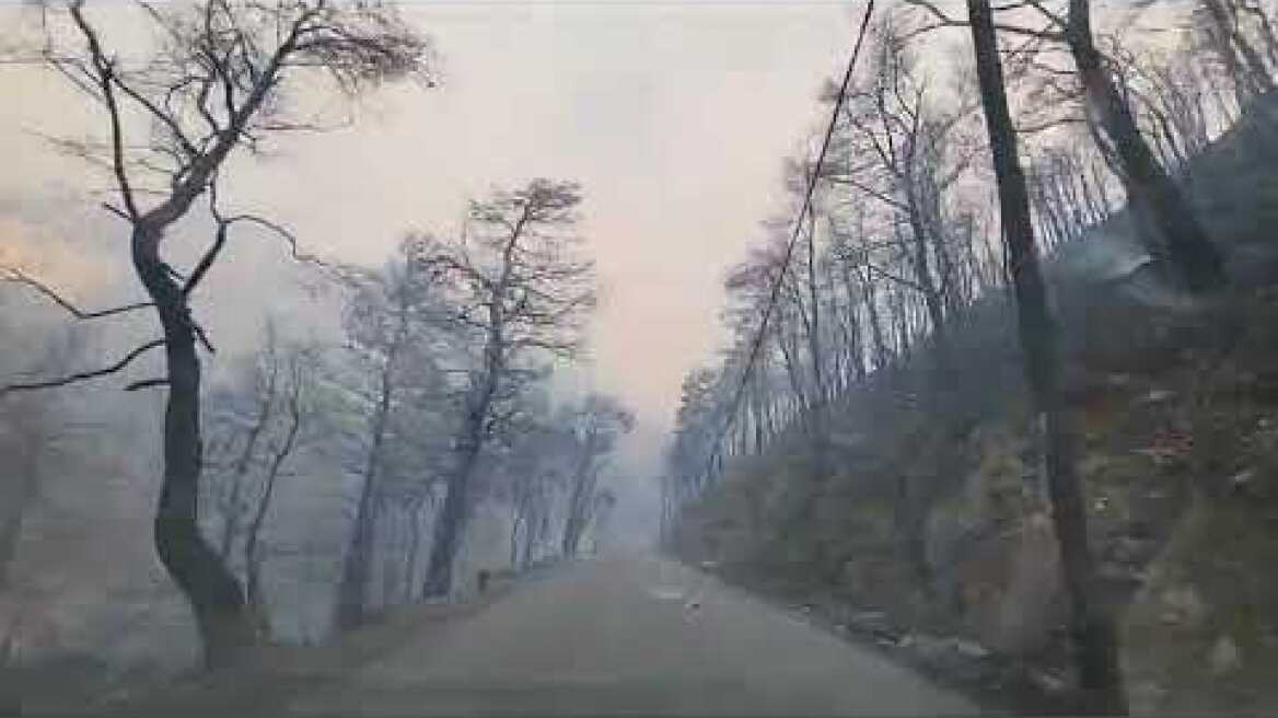 Φωτιά στη Φυλή