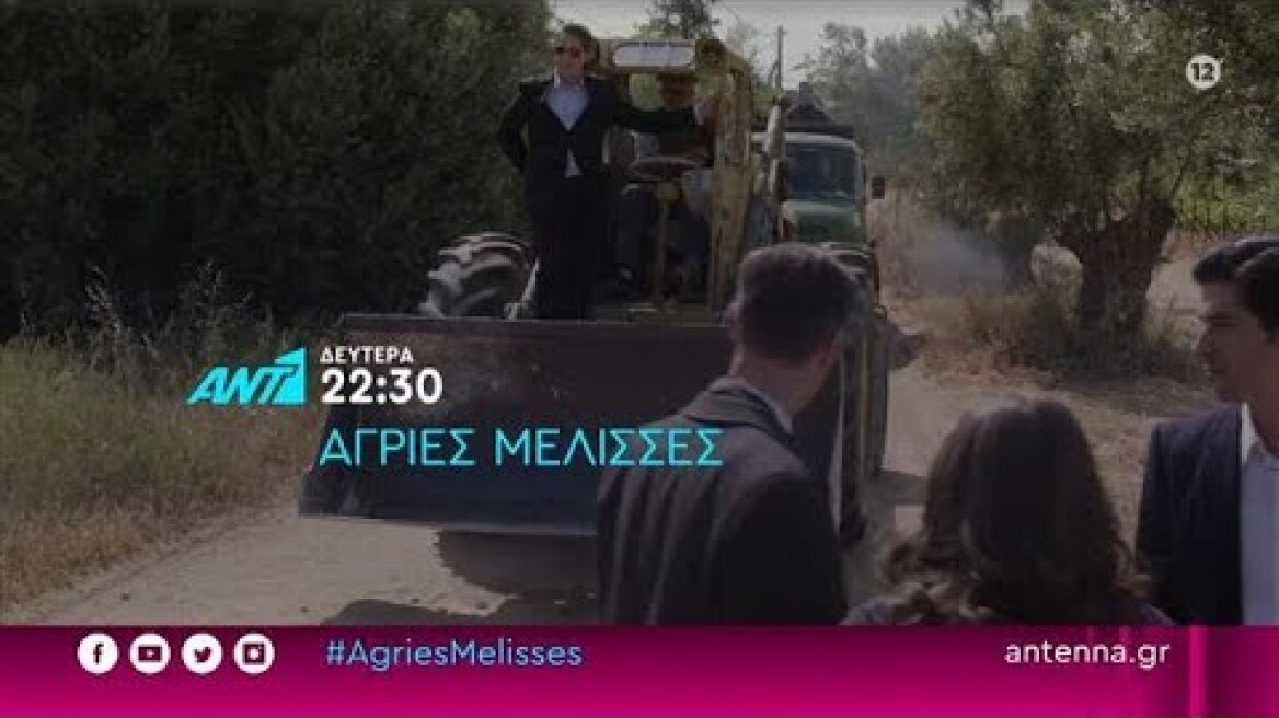 άγριες μέλισσες trailer 1 6 2022