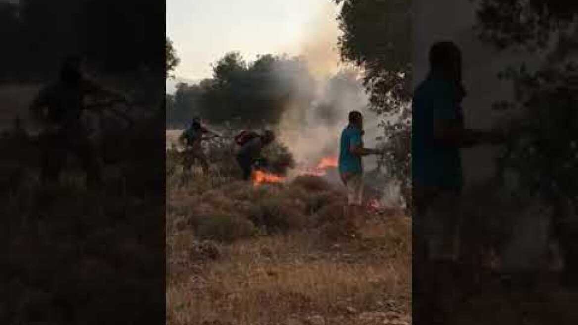 Κιάφα Μάνδρας: Κάτοικοι προσπαθούν να σβήσουν τη φωτιά με κλαδιά