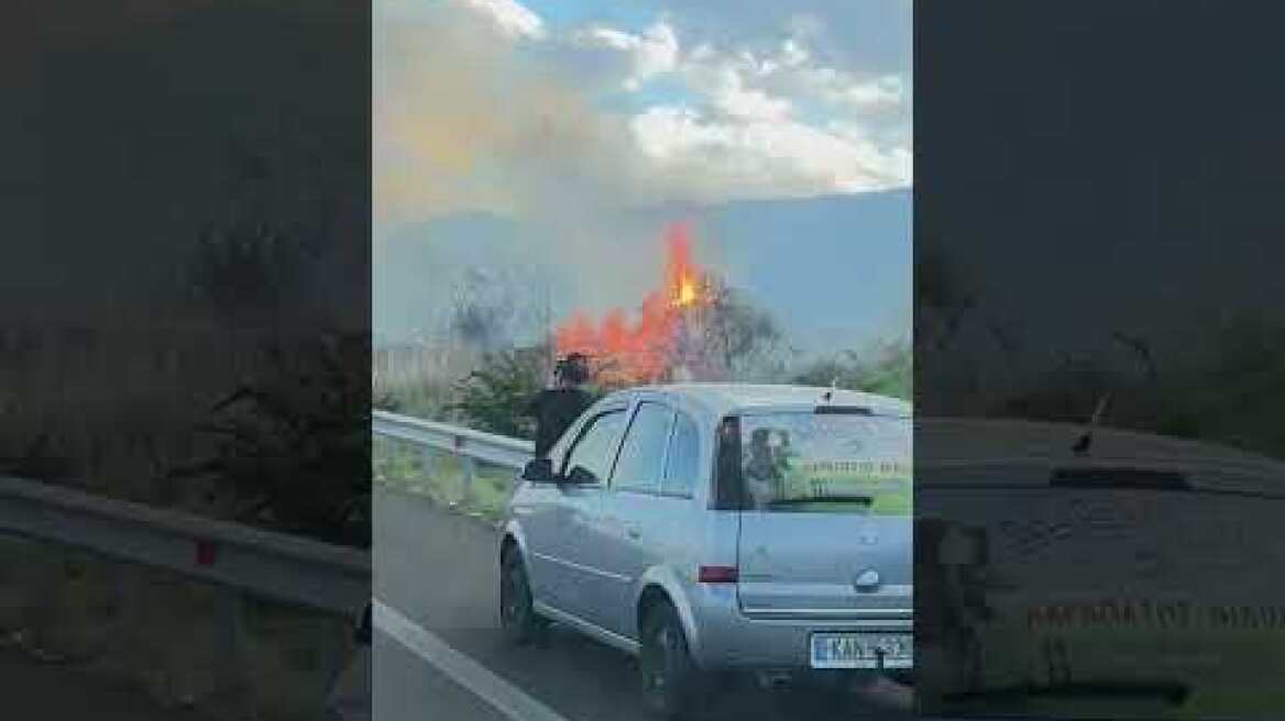 Φωτια σε χωράφια επι της εθνικής οδού Αθηνών-Λαμίας, οι φλόγες και ο καπνός κάλυπταν το δρόμο (1)