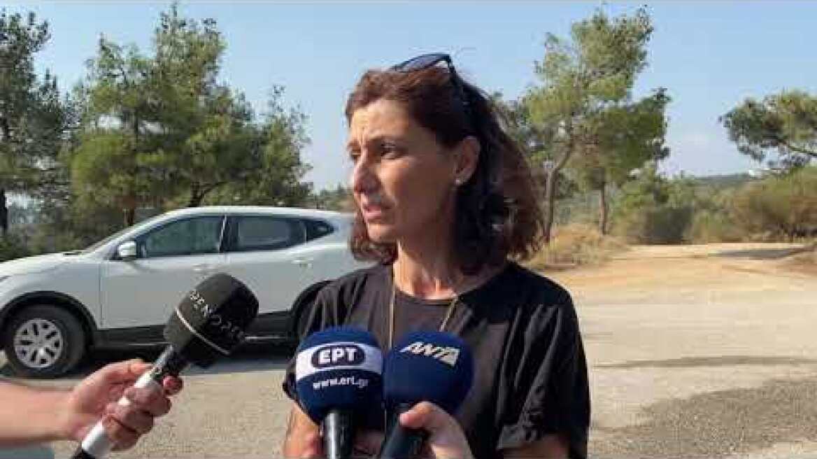 Thestival.gr Δήλωση κας Καλαϊτζή Δασάρχη Θεσσαλονίκης