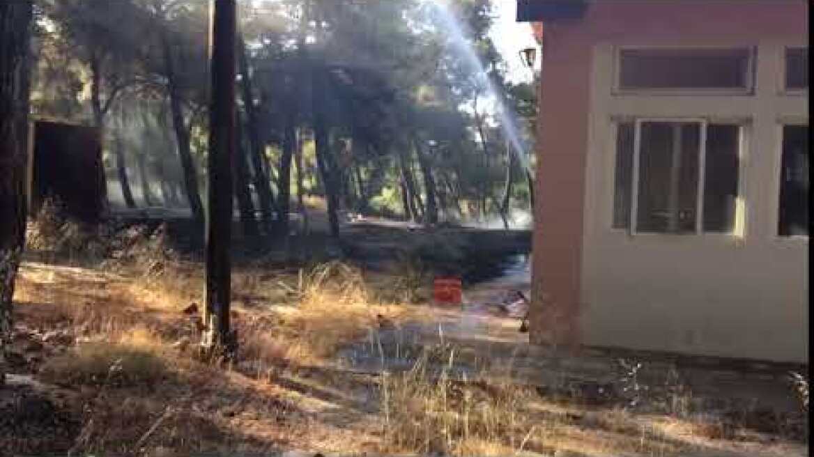 Έσβησε η φωτιά Ζούμπερι