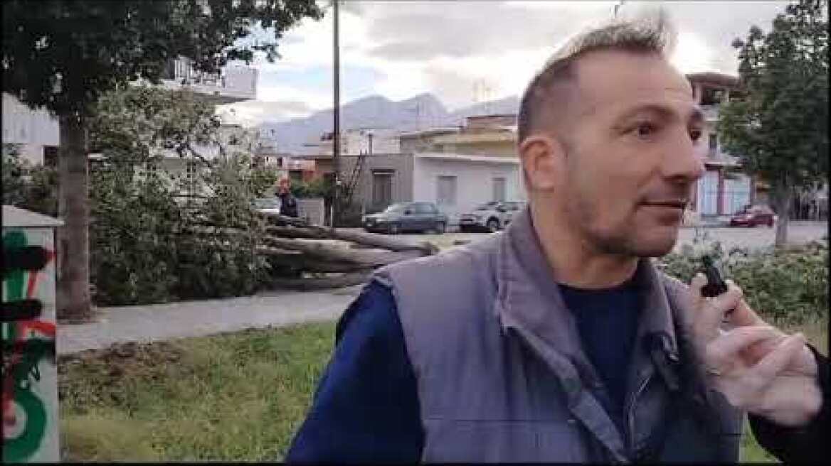 Λαμία : Μεγάλο δέντρο έπεσε πάνω σε αυτοκίνητο εν κινήσει