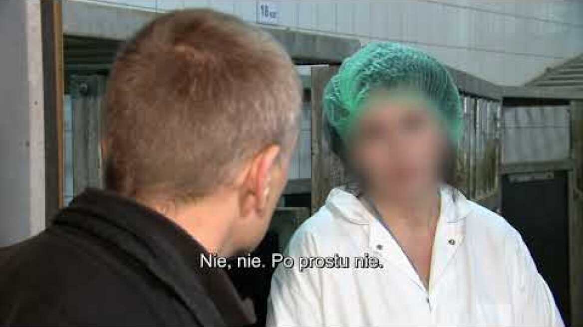 Handel chorymi i martwymi krowami (SUPERWIZJER TVN)