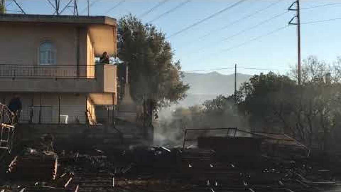 Γέρακαςκαμμένες αυλές