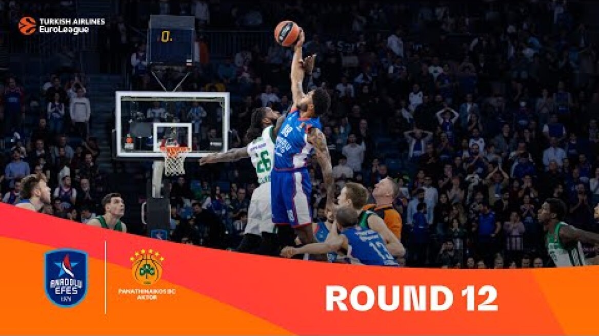 Efes-Panathinaikos | Round 12 Highlights | 2023-24 Turkish Airlines EuroLeague
