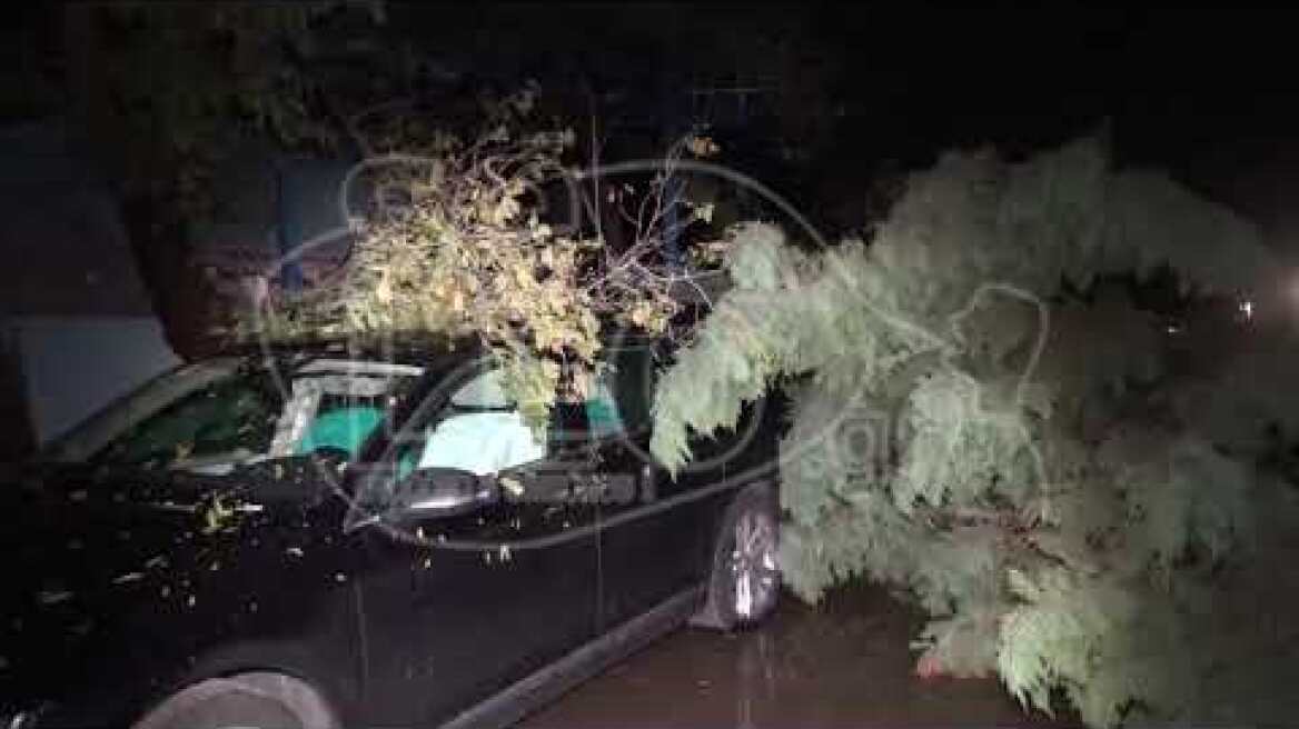 Εικόνες βιβλικής καταστροφής στη Χαλκιδική 4