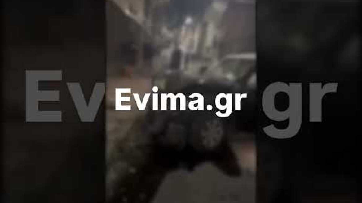 Εικόνα 1