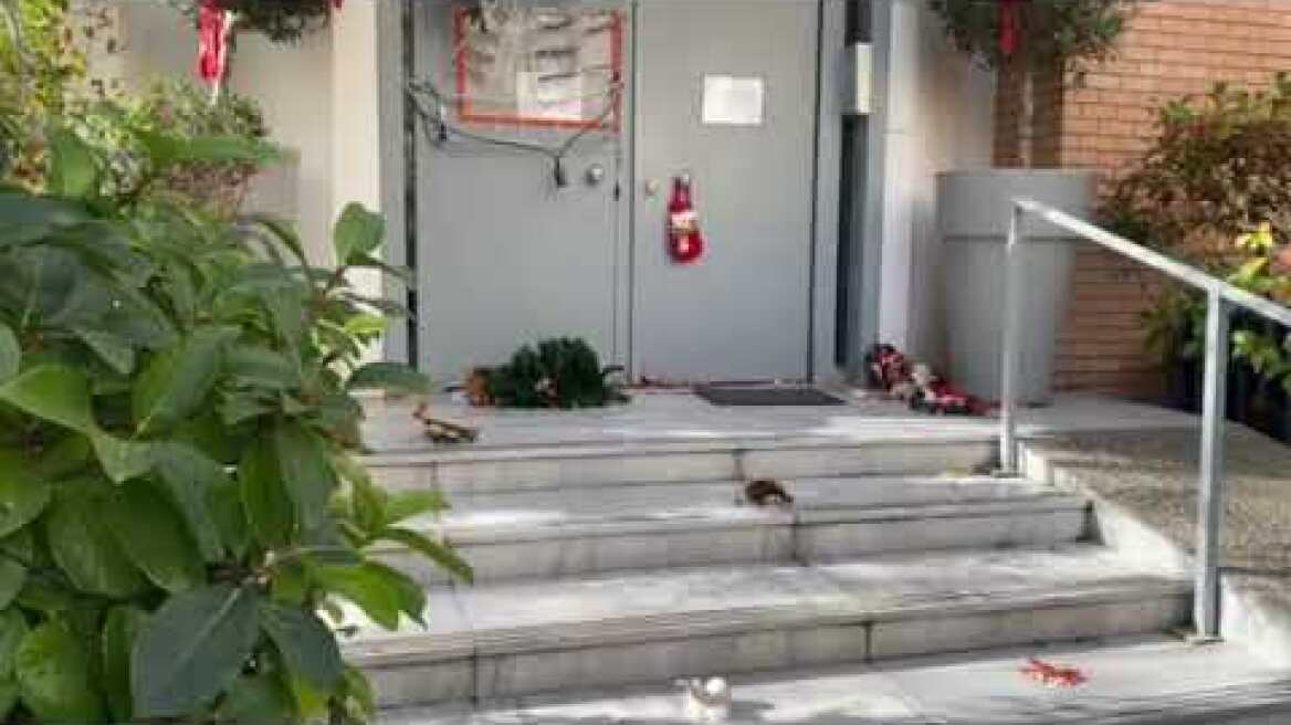 Επεισόδιο στη δομή της Κιβωτού στον Κολωνό