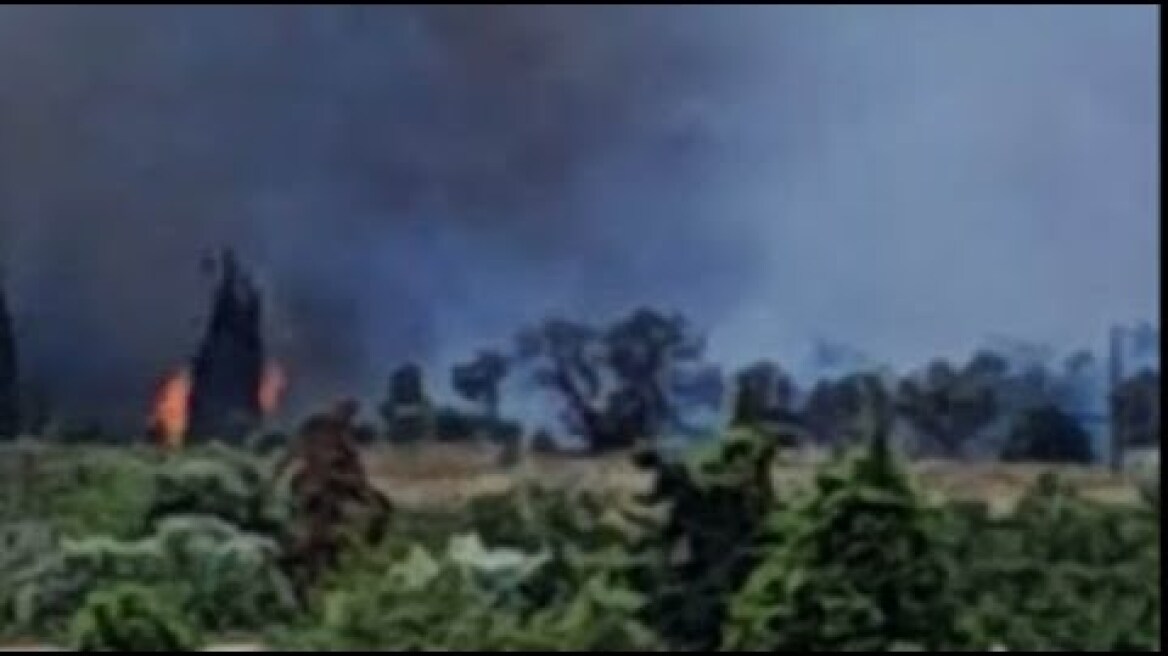 Φωτιά στα Σπάτα