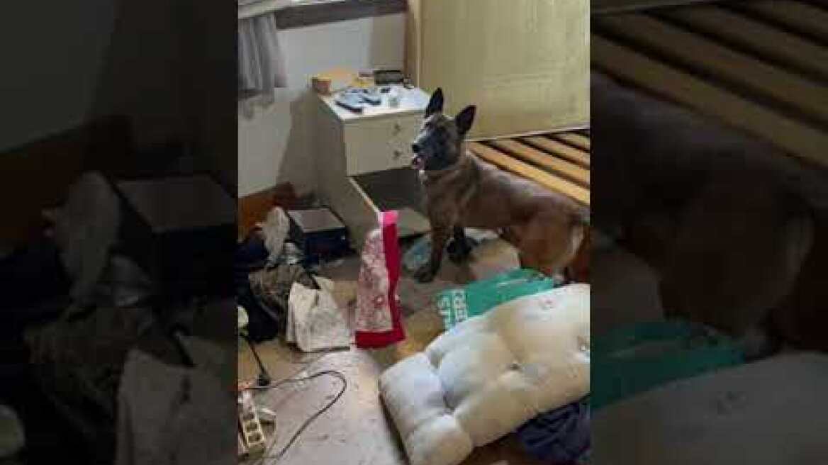 Αποδομήθηκε εγκληματική οργάνωση που δραστηριοποιούταν στη διακίνηση ναρκωτικών στην Αττική