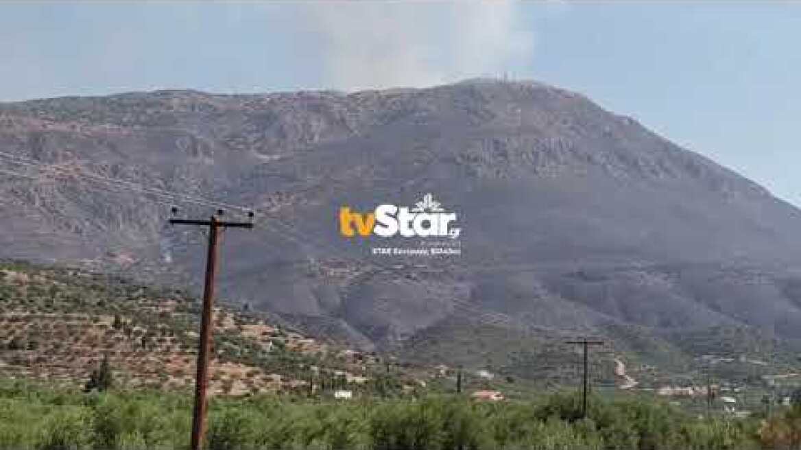 Σε δύο μέτωπα η φωτιά στη Φωκίδα