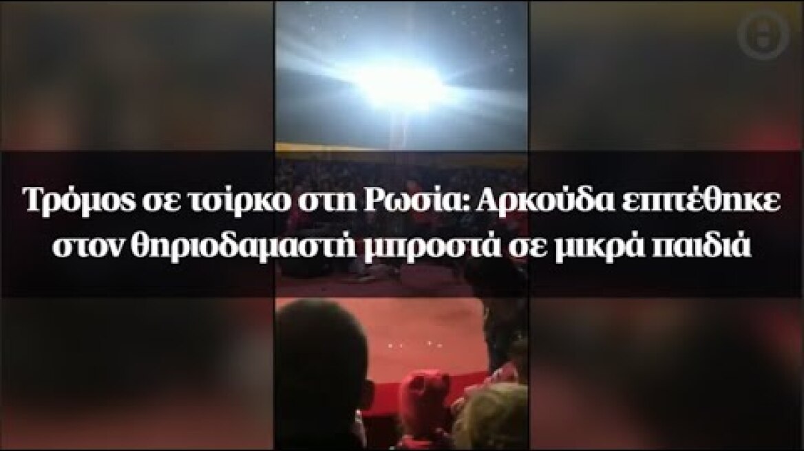 Τρόμος σε τσίρκο στη Ρωσία: Αρκούδα επιτέθηκε στον θηριοδαμαστή μπροστά σε μικρά παιδιά
