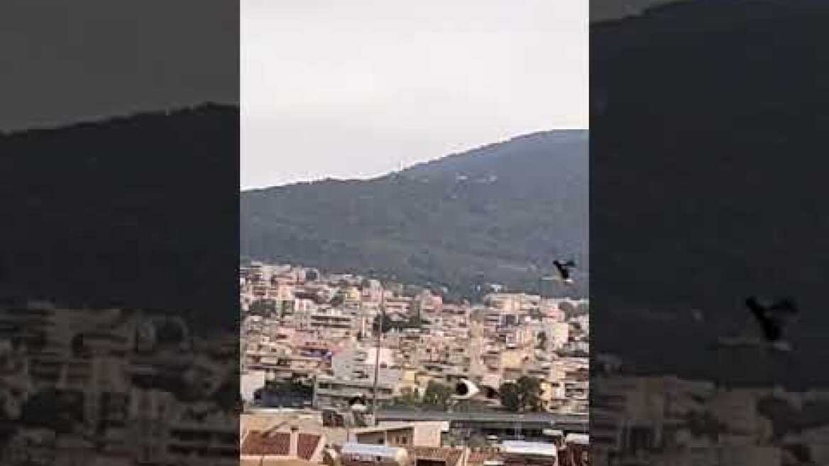 Σμήνος πελαργών εμφανίστηκε στο λεκανοπέδιο της Αττικής 6-8-2021