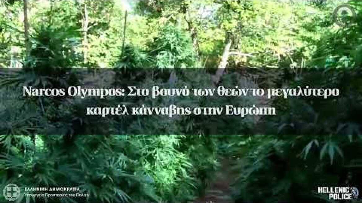 Narcos Olympos: Στο βουνό των θεών το μεγαλύτερο καρτέλ κάνναβης στην Ευρώπη