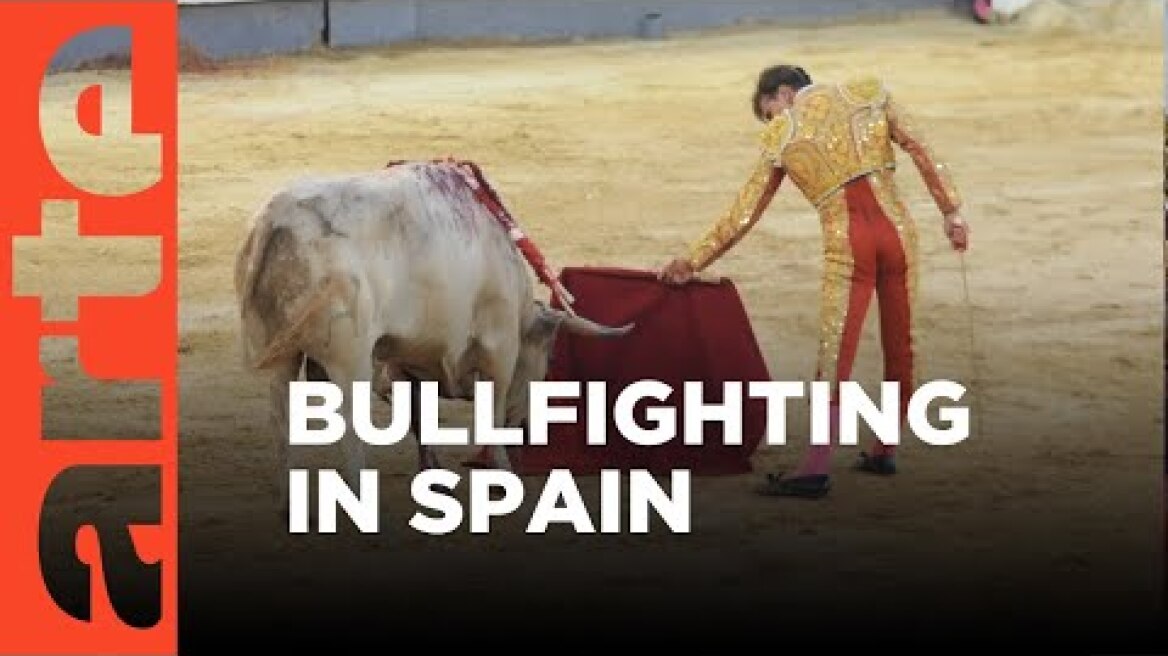 Spaniards Turn Against Bullfighting  | ARTE.tv Documentary