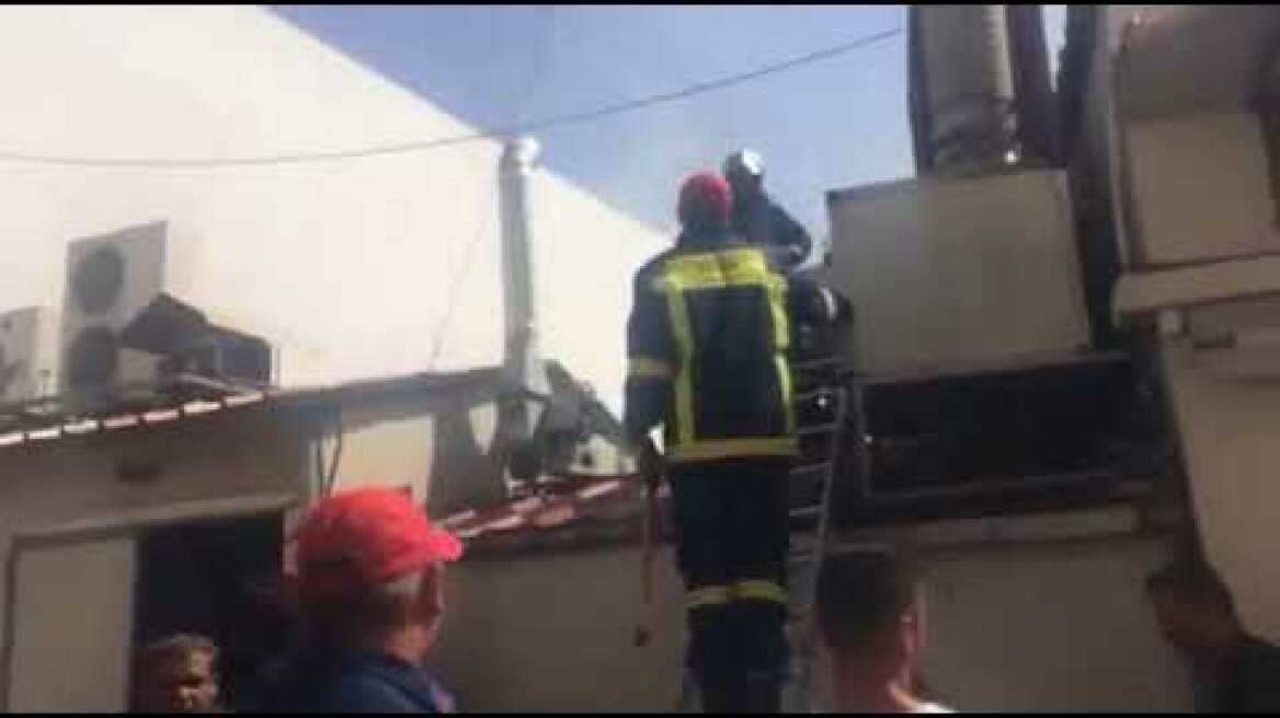 gnomip gr pirkagia psitotexnies