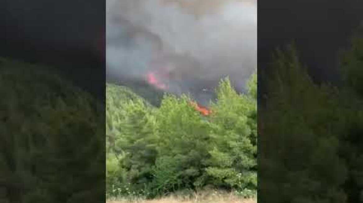 Φωτιά στις Ροβιές