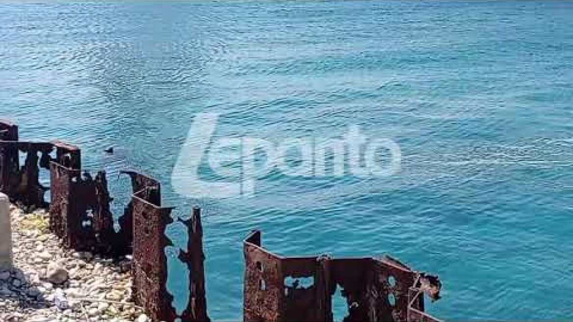 Τραγωδία στο Αντίρριο: Νεκρός ψαροντουφεκάς