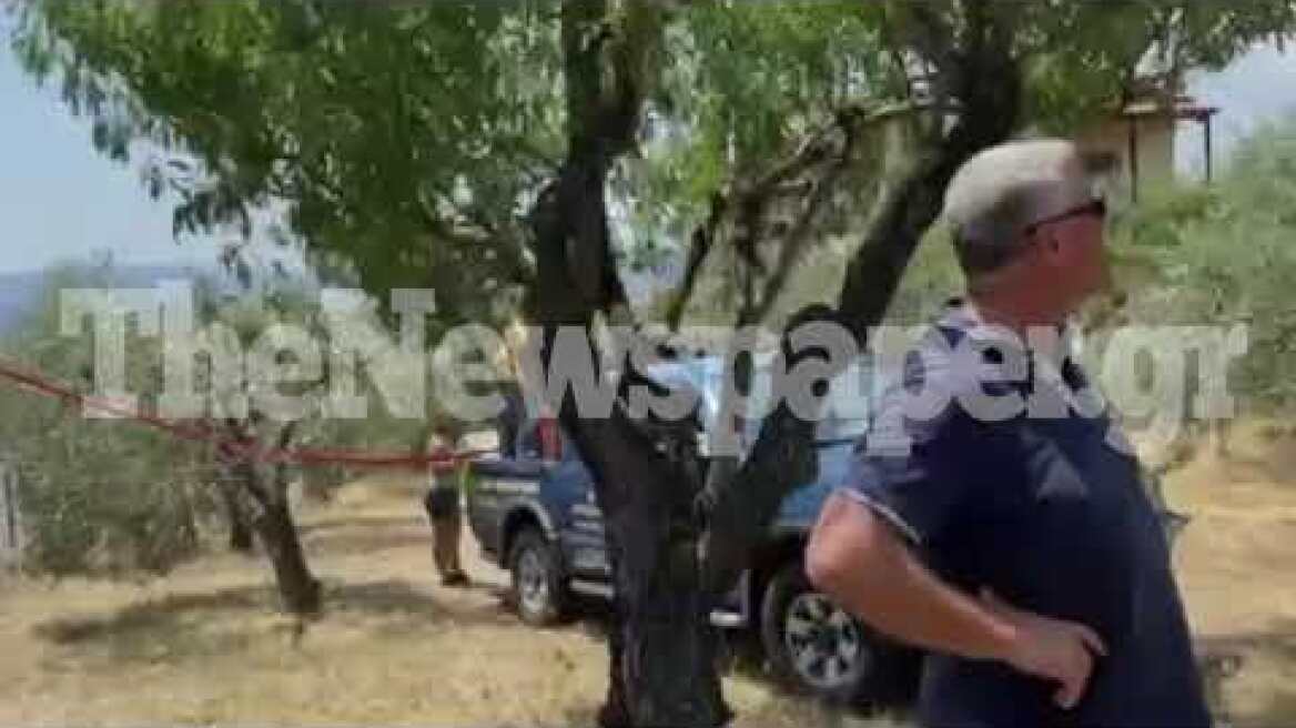 Φωτιά στον Βόλο