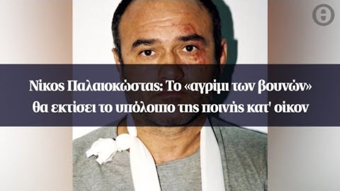 Νίκος Παλαιοκώστας: Το «αγρίμι των βουνών» θα εκτίσει το υπόλοιπο της ποινής κατ' οίκον
