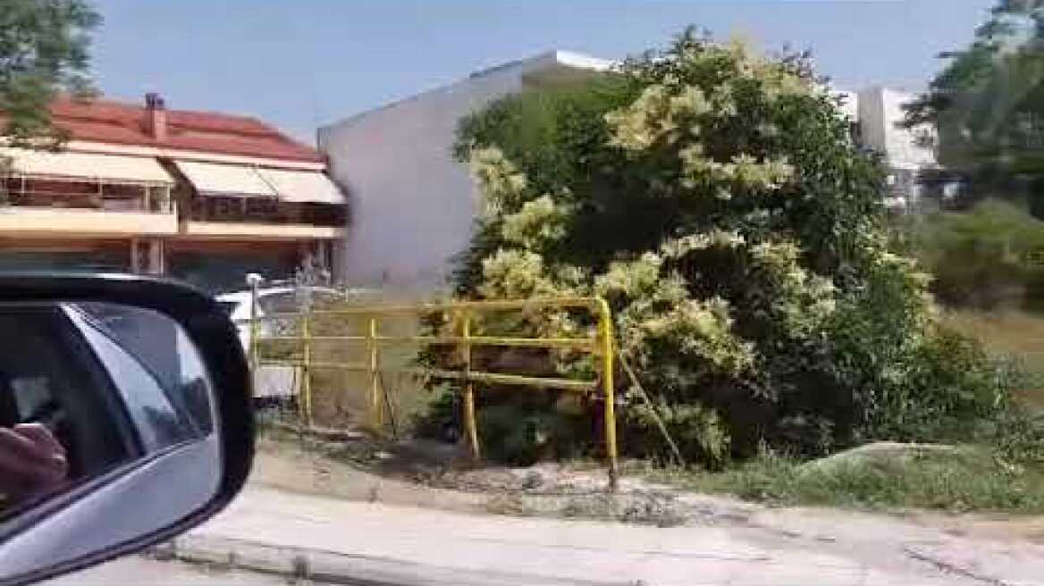 Thestival.gr Καταδίωξη λαθροδιακινητή στην Ευκαρπία