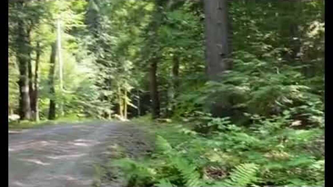 ation of Ghislaine Maxw ellTucked wayhideout revealed