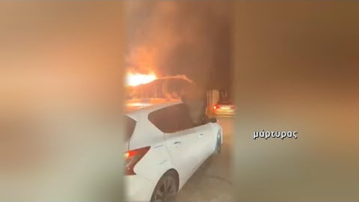 ΠΥΡΓΟΣ: «ΤΟ ΠΑΡΕΑΚΙ ΤΗΣ ΜΑΓΚΙΑΣ ΑΠΕΙΛΟΥΣΕ ΤΟΝ ΘΥΜΙΟ…»