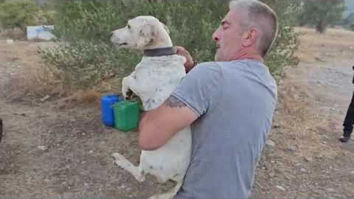 Eπιχείρηση απεγκλωβισμού πέντε σκυλιών, τα οποία ήταν κλειδωμένα σε κλουβιά