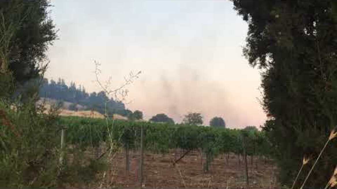 φωτιά Ασωπία Τανάγρας κοντά στη Μονή που έχει εκκενωθεί