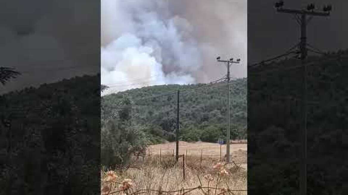Φωτιά στο  Αν. Σούλι Μαραθώνας
