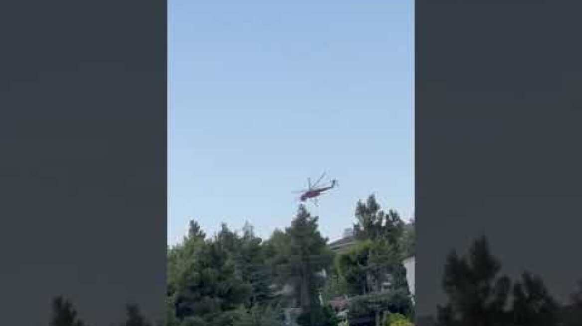 Φωτιά σε δασική έκταση στην Κηφισιά