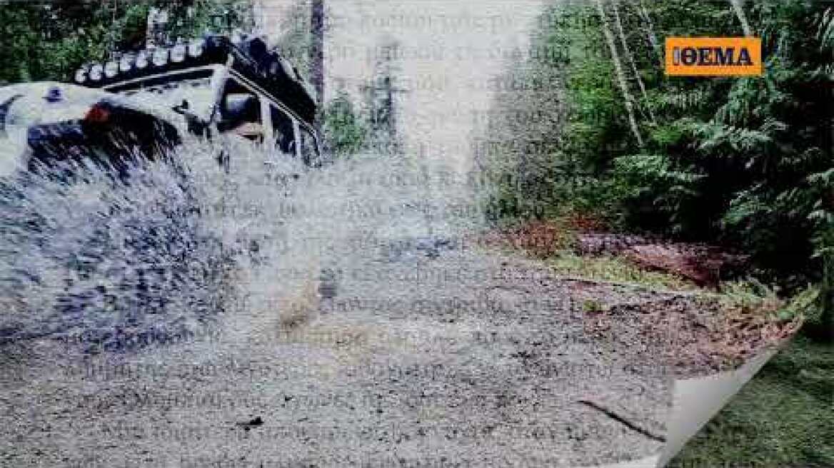 Το κυνήγι του τίγρη