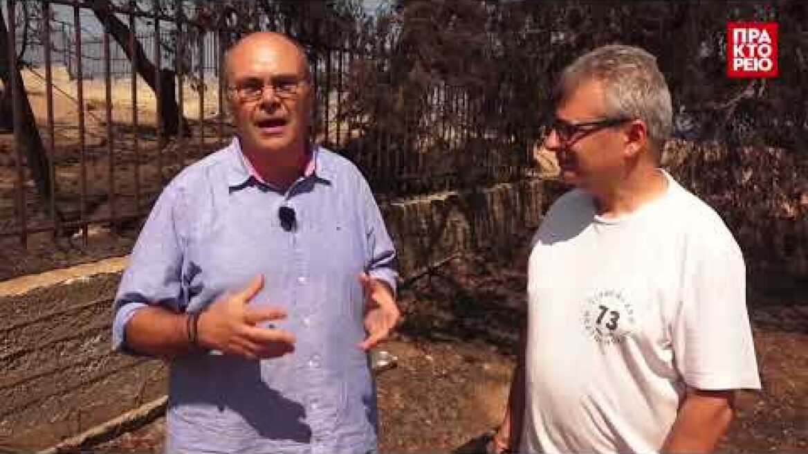 Μάτι: Έτσι θα αναγεννηθεί  από τις στάκτες σαν τον Φοίνικα