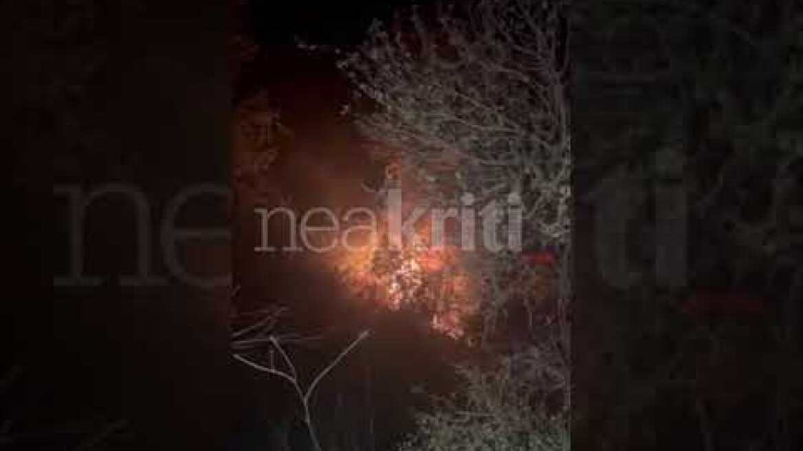 Μάχη όλη νύχτα με τις φλόγες σε δύσβατη περιοχή