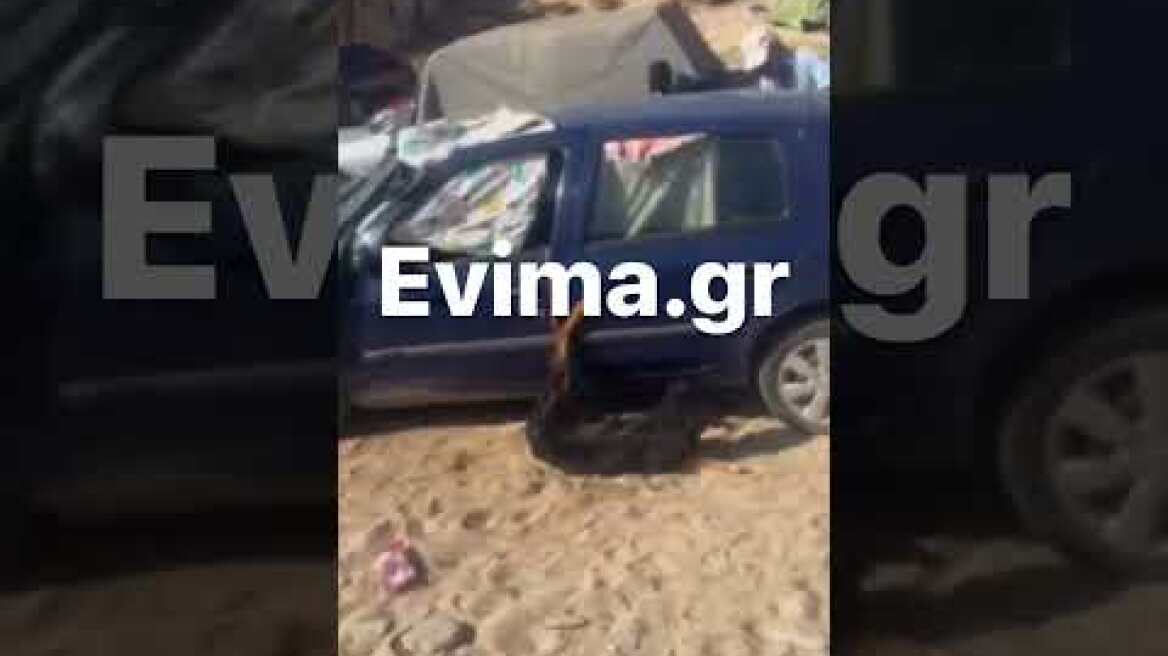 Εύβοια: Κλείδωσαν σκυλί για ώρες σε αμάξι