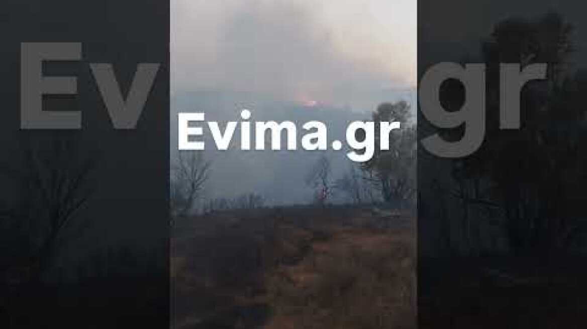 Επιχειρούν εναέρια μέσα στη φωτιά στα Μεσοχώρια της Εύβοιας: Νέο μήνυμα του 112 για εκκένωση του Λιμνιώνα, κοντά σε σπίτια οι φλόγες Συνεχίζεται η μάχη με τις φλόγες στην Εύβοια