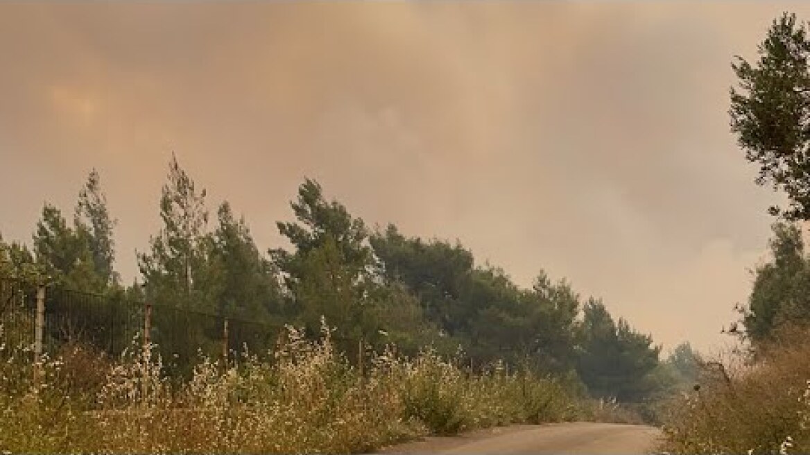 Πλησιάζει τα σπίτια η φωτιά στον οικισμό Πευκενέα