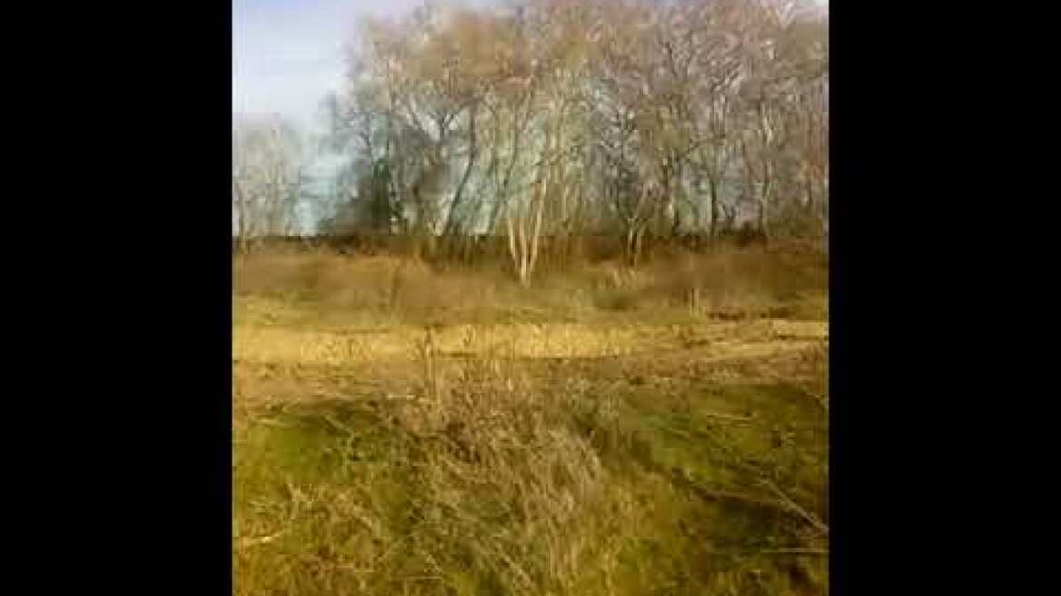 Φέρες - μεγάλη ομάδα ατόμων επιχείρησε να εισέλθει παράνομα από τα σύνορα.