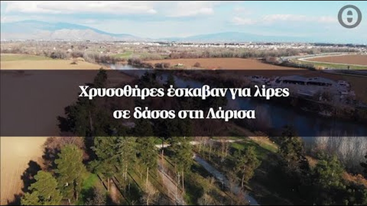 Χρυσοθήρες έσκαβαν για λίρες σε δάσος στη Λάρισα