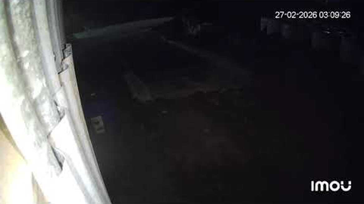 Κουκουλοφόροι κλέβουν αρνιά από στάνη στην Βόλβη Θεσσαλονίκης 2